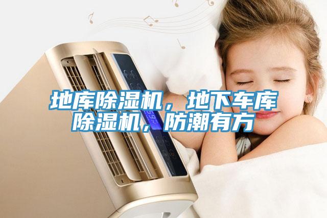 地庫(kù)除濕機(jī)，地下車庫(kù)除濕機(jī)，防潮有方