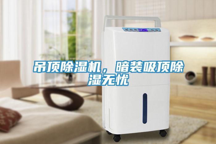 吊頂除濕機(jī)，暗裝吸頂除濕無憂
