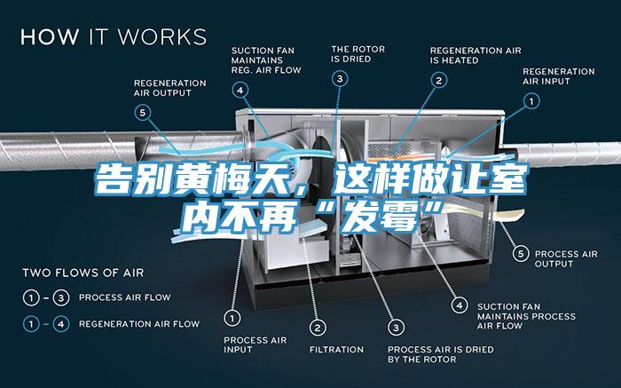 告別黃梅天，這樣做讓室內(nèi)不再“發(fā)霉”