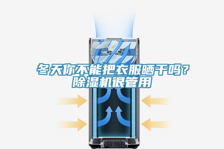 冬天你不能把衣服曬干嗎？除濕機(jī)很管用