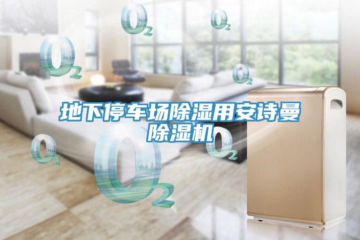 地下停車場(chǎng)除濕用安詩曼除濕機(jī)