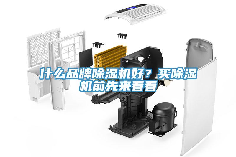 什么品牌除濕機好？買除濕機前先來看看