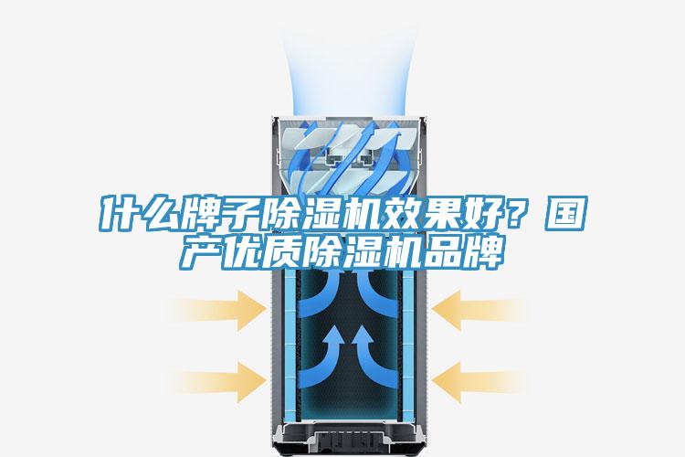 什么牌子除濕機(jī)效果好？國(guó)產(chǎn)優(yōu)質(zhì)除濕機(jī)品牌
