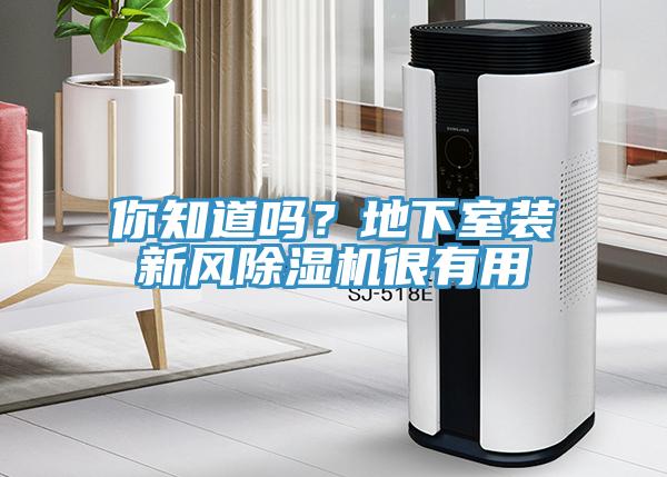 你知道嗎？地下室裝新風(fēng)除濕機(jī)很有用