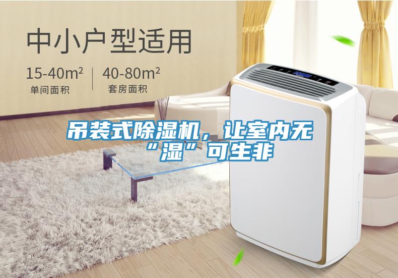 吊裝式除濕機，讓室內(nèi)無“濕”可生非