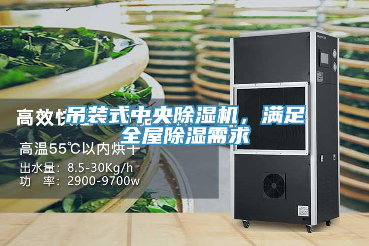 吊裝式中央除濕機，滿足全屋除濕需求