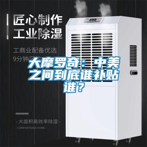 大摩羅奇：中美之間到底誰補(bǔ)貼誰？