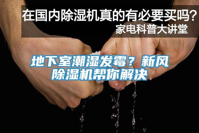 地下室潮濕發(fā)霉？新風(fēng)除濕機幫你解決