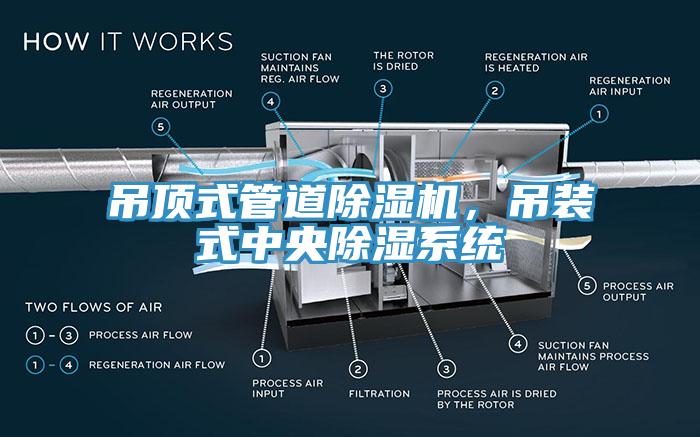 吊頂式管道除濕機，吊裝式中央除濕系統(tǒng)