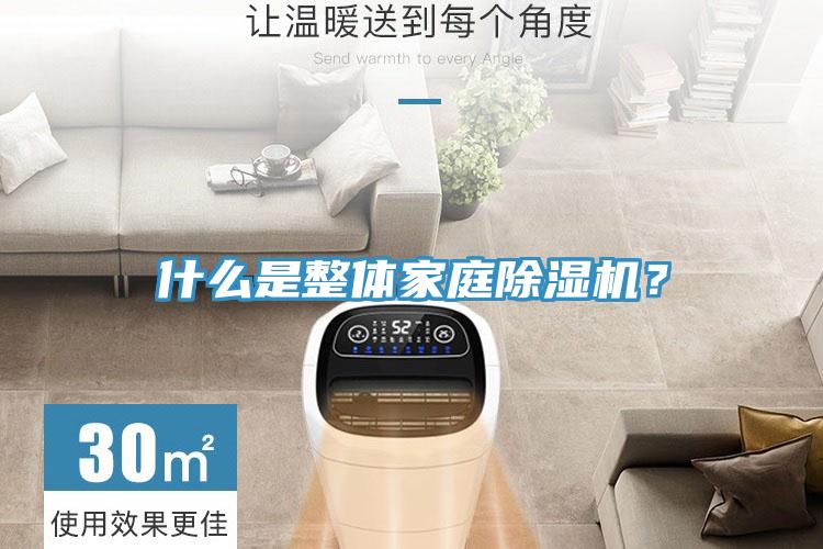 什么是整體家庭除濕機(jī)？