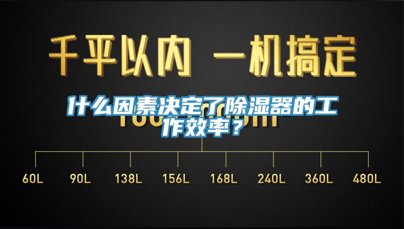 什么因素決定了除濕器的工作效率？