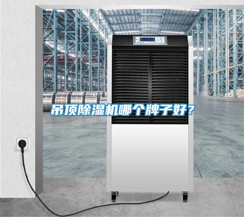 吊頂除濕機(jī)哪個牌子好？