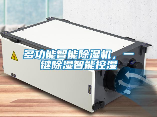 多功能智能除濕機(jī)，一鍵除濕智能控濕
