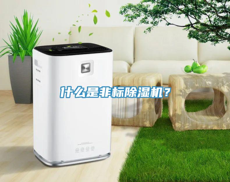 什么是非標(biāo)除濕機(jī)？