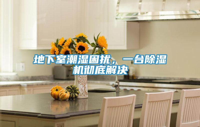 地下室潮濕困擾，一臺(tái)除濕機(jī)徹底解決