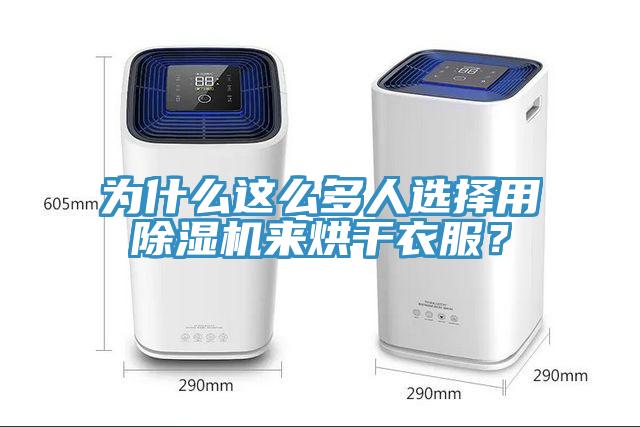 為什么這么多人選擇用除濕機(jī)來烘干衣服？