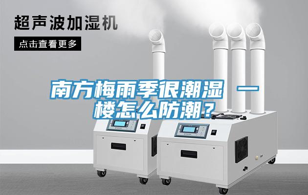 南方梅雨季很潮濕 一樓怎么防潮？