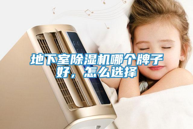 地下室除濕機(jī)哪個牌子好，怎么選擇