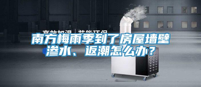 南方梅雨季到了房屋墻壁滲水、返潮怎么辦？