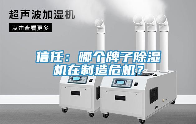 信任：哪個牌子除濕機(jī)在制造危機(jī)？