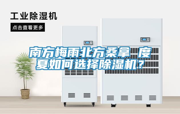 南方梅雨北方桑拿 度夏如何選擇除濕機(jī)？