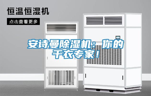 安詩(shī)曼除濕機(jī)：你的干衣專(zhuān)家！