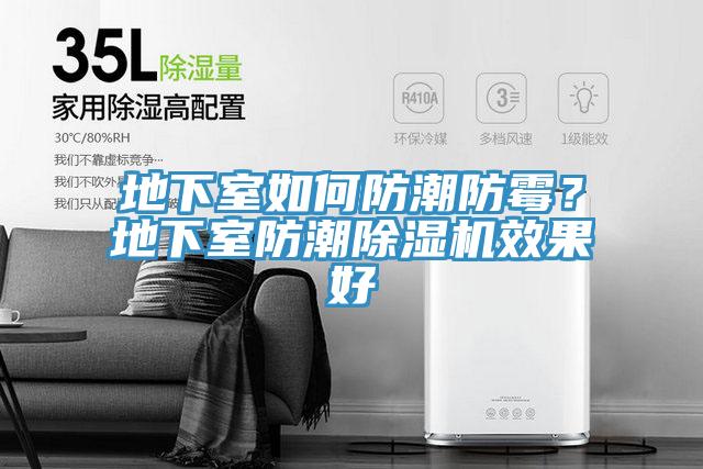 地下室如何防潮防霉？地下室防潮除濕機效果好