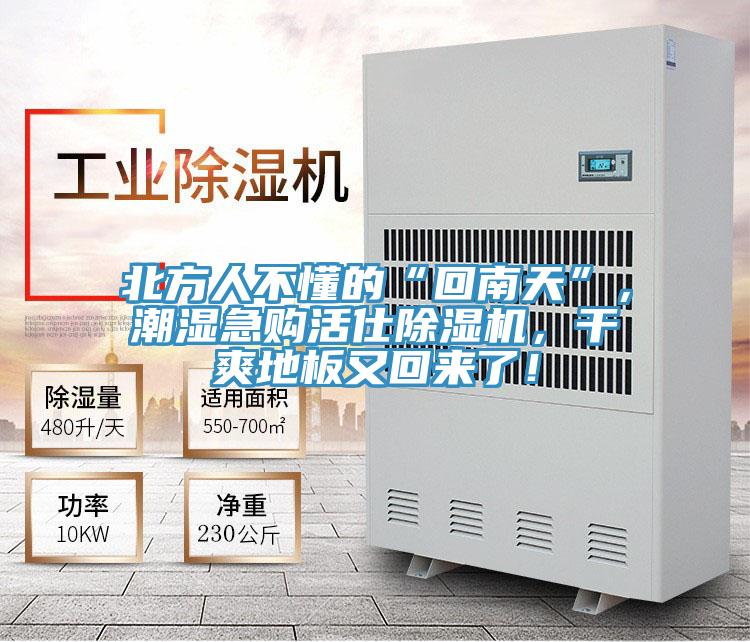 北方人不懂的“回南天”，潮濕急購活仕除濕機(jī)，干爽地板又回來了！