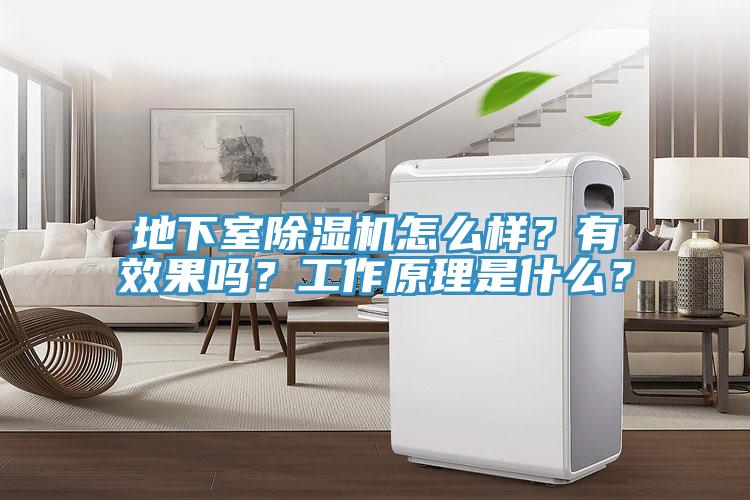 地下室除濕機(jī)怎么樣？有效果嗎？工作原理是什么？