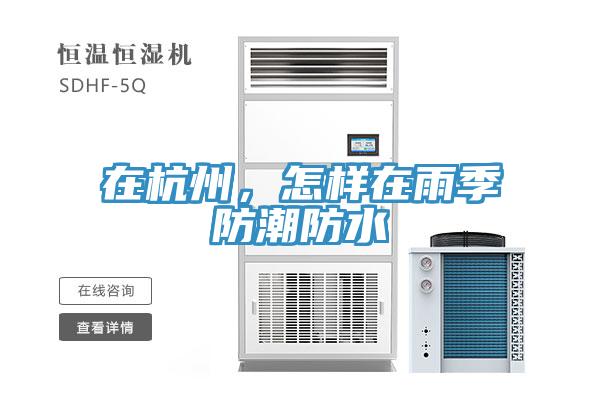 在杭州，怎樣在雨季防潮防水