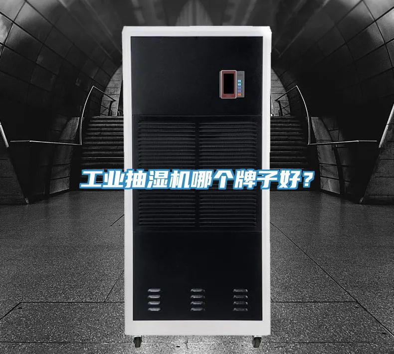 工業(yè)抽濕機(jī)哪個(gè)牌子好？