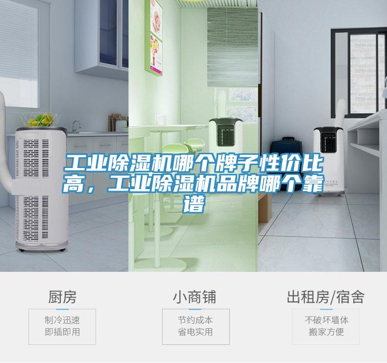 工業(yè)除濕機(jī)哪個牌子性價比高，工業(yè)除濕機(jī)品牌哪個靠譜
