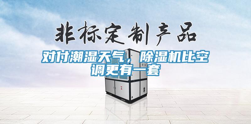對(duì)付潮濕天氣，除濕機(jī)比空調(diào)更有一套