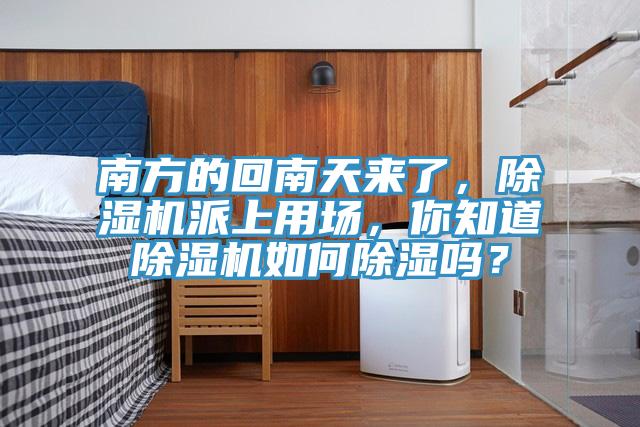 南方的回南天來了，除濕機(jī)派上用場，你知道除濕機(jī)如何除濕嗎？