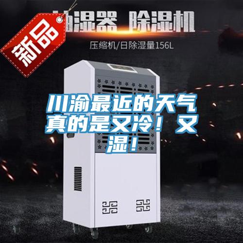 川渝最近的天氣真的是又冷！又濕！