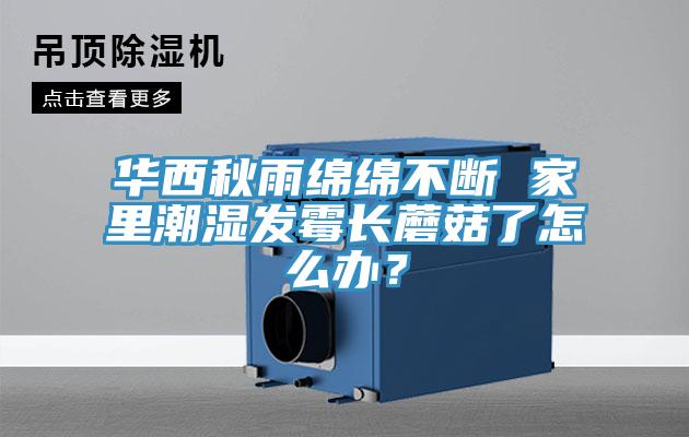 華西秋雨綿綿不斷 家里潮濕發(fā)霉長(zhǎng)蘑菇了怎么辦？