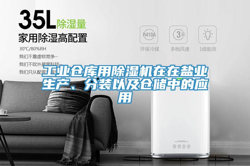 工業(yè)倉庫用除濕機在在鹽業(yè)生產(chǎn)、分裝以及倉儲中的應(yīng)用