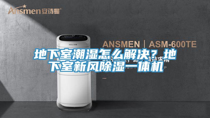 地下室潮濕怎么解決？地下室新風(fēng)除濕一體機