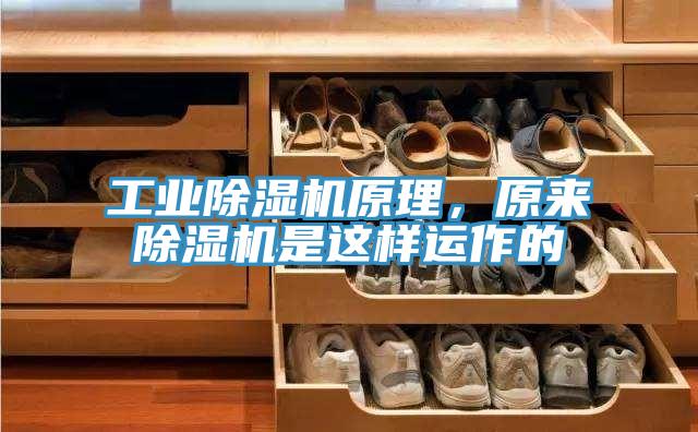 工業(yè)除濕機(jī)原理，原來(lái)除濕機(jī)是這樣運(yùn)作的
