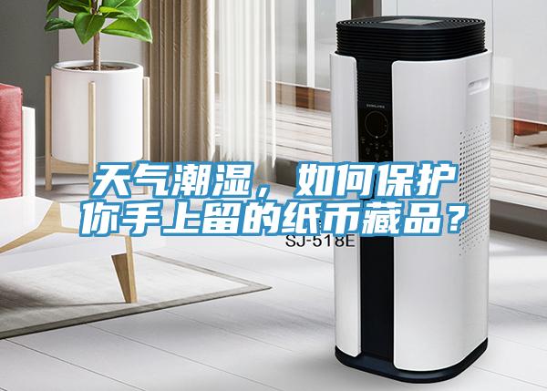 天氣潮濕，如何保護(hù)你手上留的紙幣藏品？