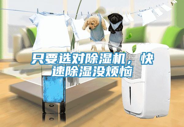 只要選對除濕機，快速除濕沒煩惱
