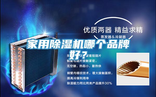 家用除濕機哪個品牌好？