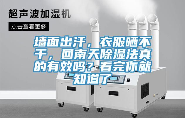 墻面出汗，衣服曬不干，回南天除濕法真的有效嗎？看完你就知道了