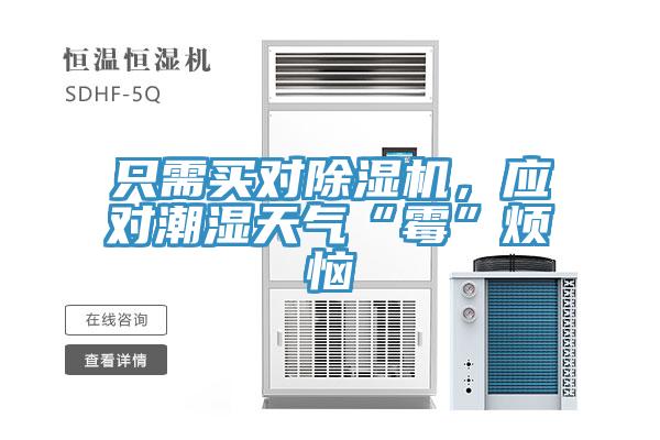 只需買對(duì)除濕機(jī)，應(yīng)對(duì)潮濕天氣“霉”煩惱
