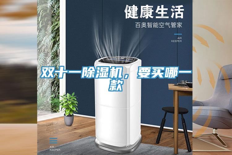 雙十一除濕機(jī)，要買哪一款