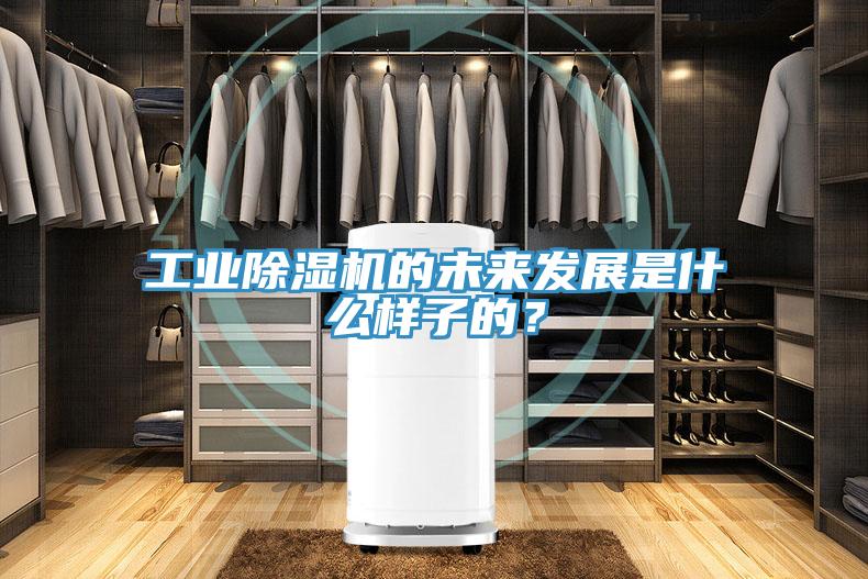 工業(yè)除濕機的未來發(fā)展是什么樣子的？