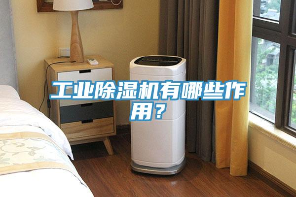 工業(yè)除濕機(jī)有哪些作用？