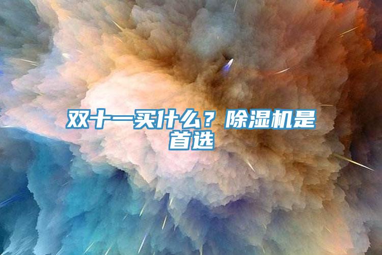 雙十一買什么？除濕機是首選