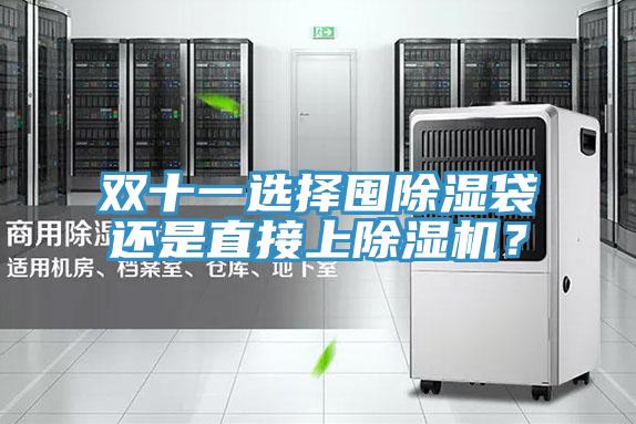 雙十一選擇囤除濕袋還是直接上除濕機(jī)？