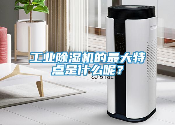 工業(yè)除濕機的最大特點是什么呢？